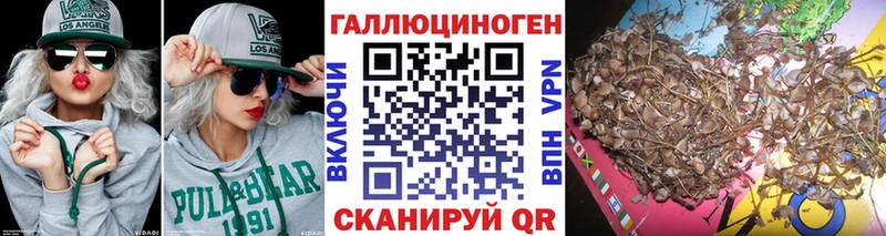 Псилоцибиновые грибы MAGIC MUSHROOMS Невельск